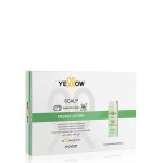 Интензивен лосион против косопад Alfaparf Yellow Scalp Energy Lotion 6 x 13 ml