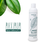 Ултра възстановяващ балсам за след боядисване BES Maximum Moisture 1000 ml